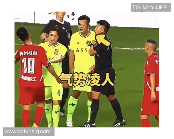 足球明星与球迷冲突事件曝光引发广泛讨论球场行为规范亟待重视